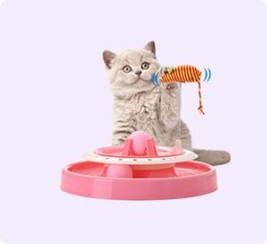 1cat-toys